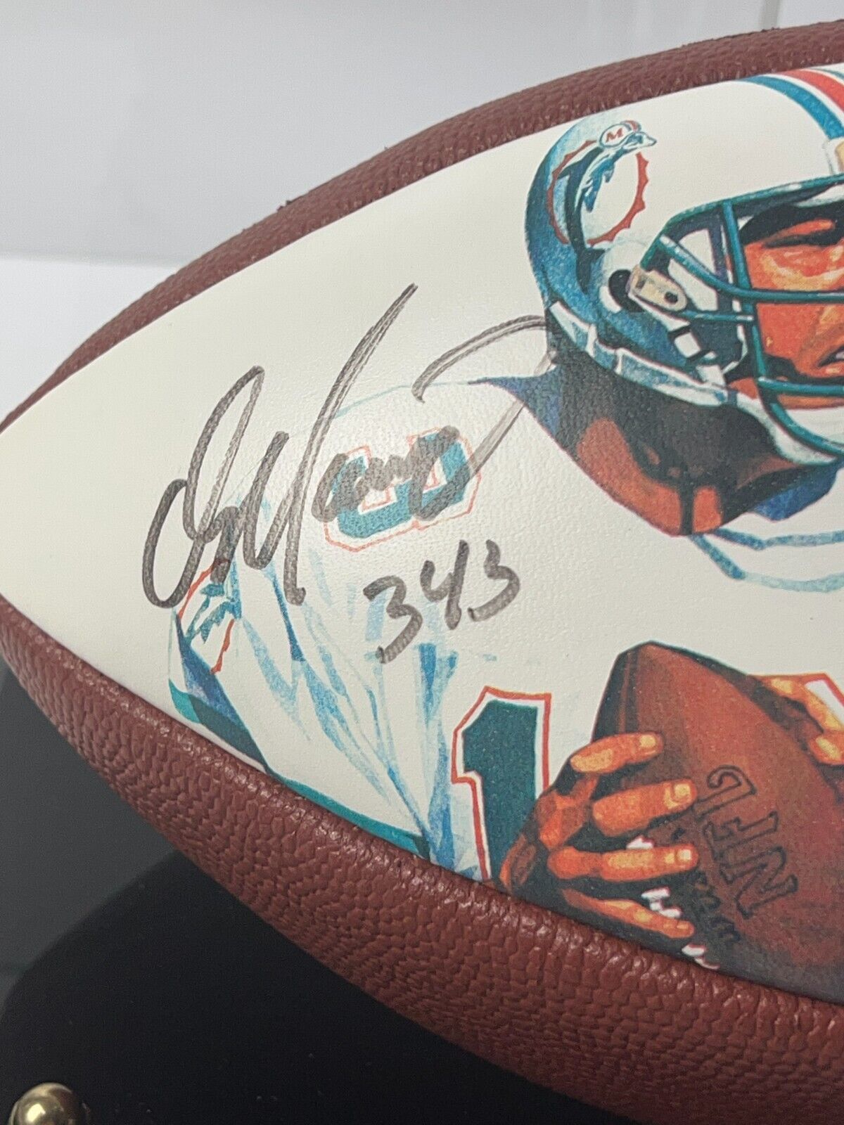 Dan Marino Autographed Upper Deck Commemorative 343 Touchdown Photo Football