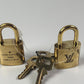 LOUIS VUITTON Set of 2 locks with 3 Keys #318