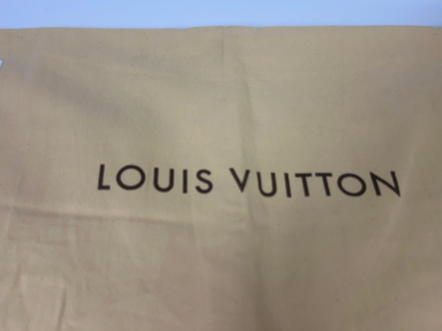 Louis Vuitton Dust Bag 21x14