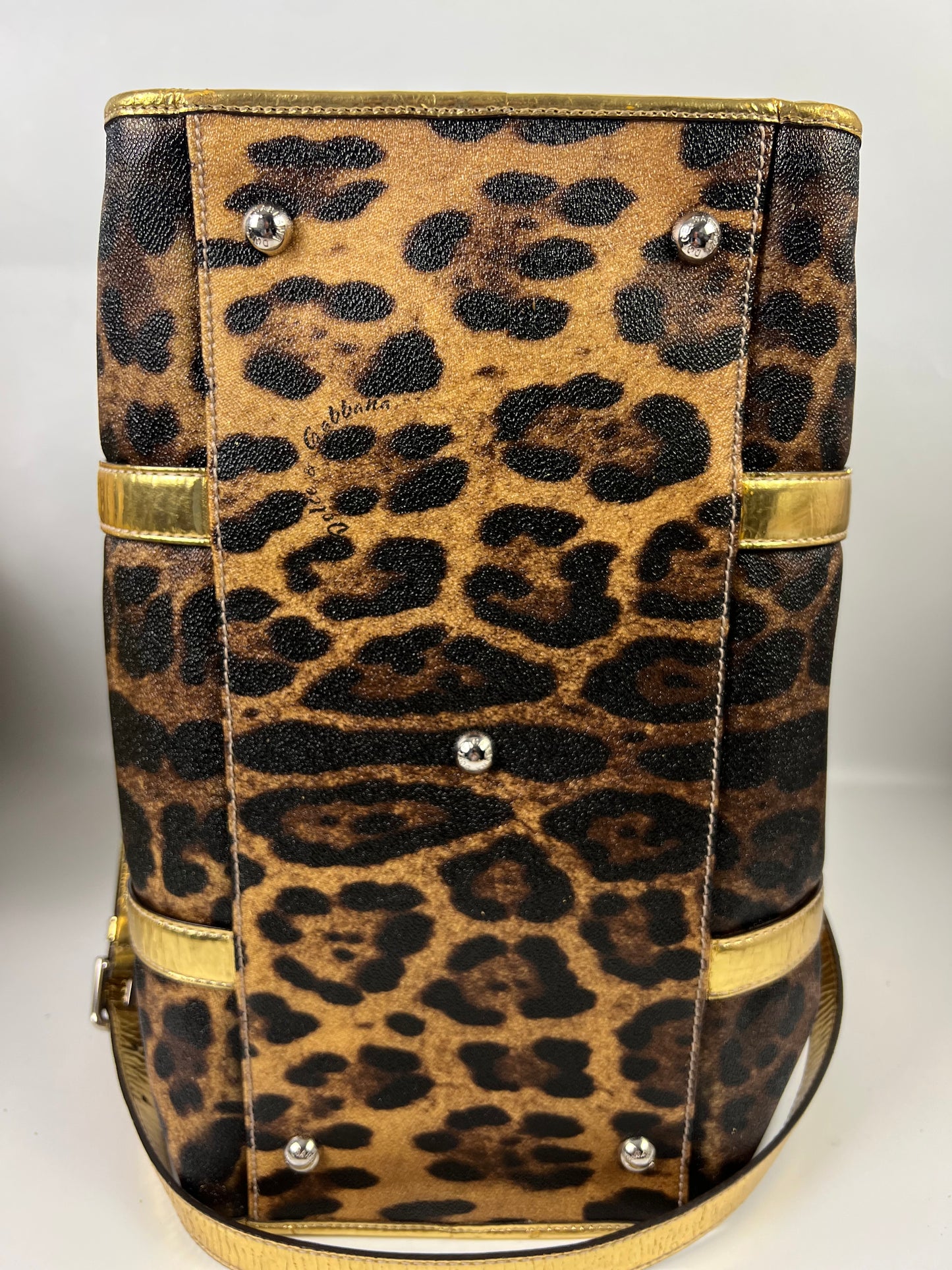 Dolce & Gabbana Pet Carrier 15x10x8