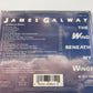 Wind Beneath My Wings by James Galway (CD, 1991)