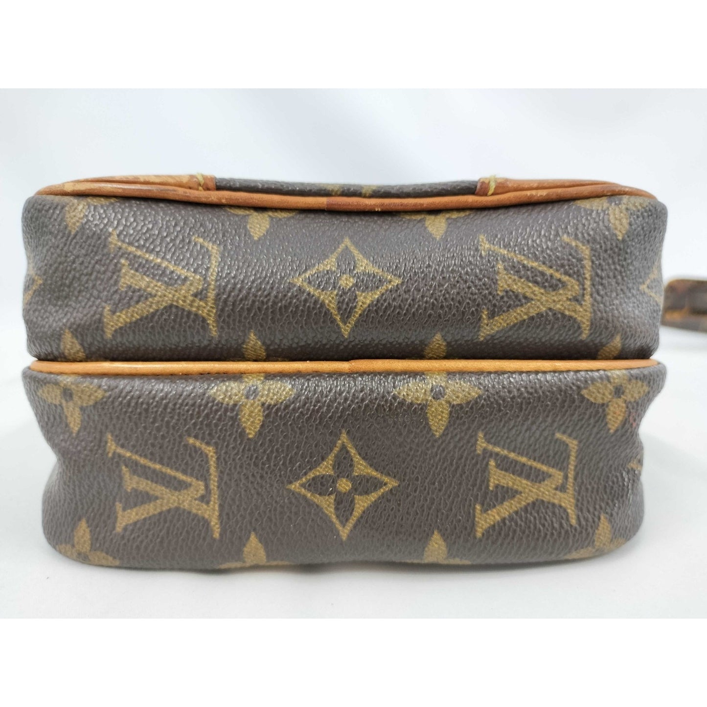 LOUIS VUITTON Monogram Mini Amazon Shoulder Bag