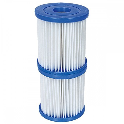 Pool Filter CARTG I 2PK